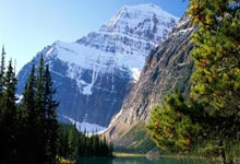 Kaiyuan-蛰伏与蜕变，当黄蜂掀翻森林狼，小贾伦在抢七的寂静中轰鸣