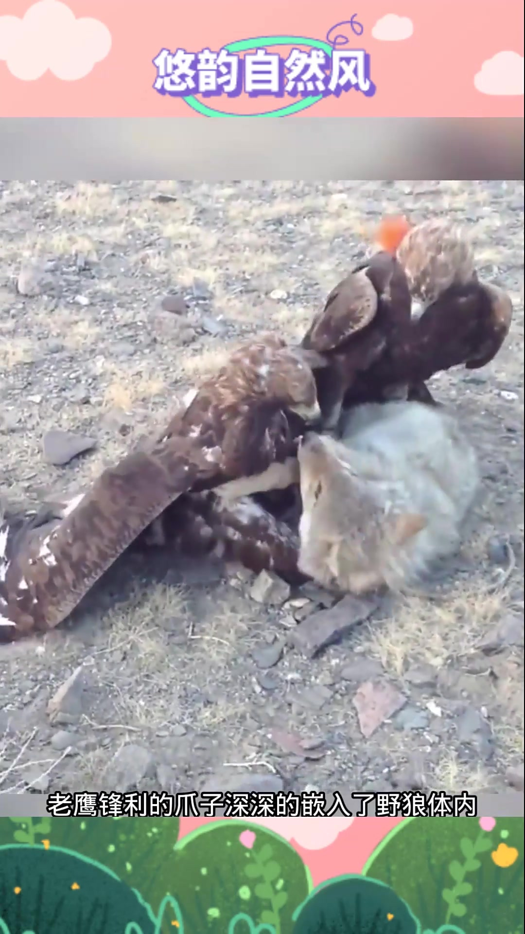 老鹰惨遭雄鹿绝杀，遭遇两连败